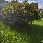 Pavla Apartmán