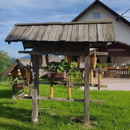 Apartment Pavla Zgornje Gorje