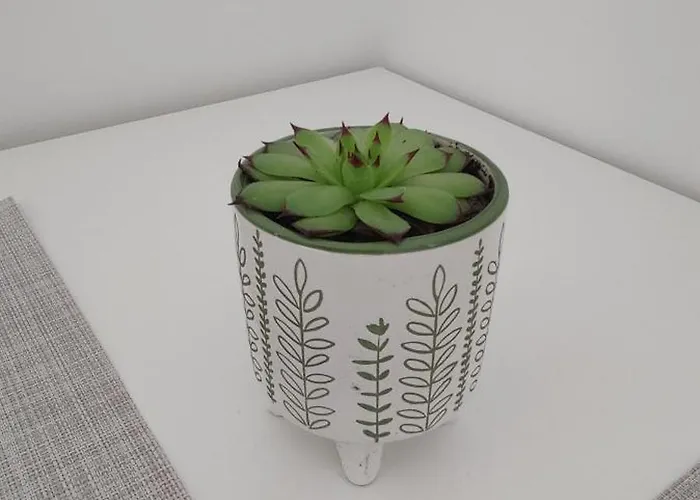 Pavla * Zgornje Gorje